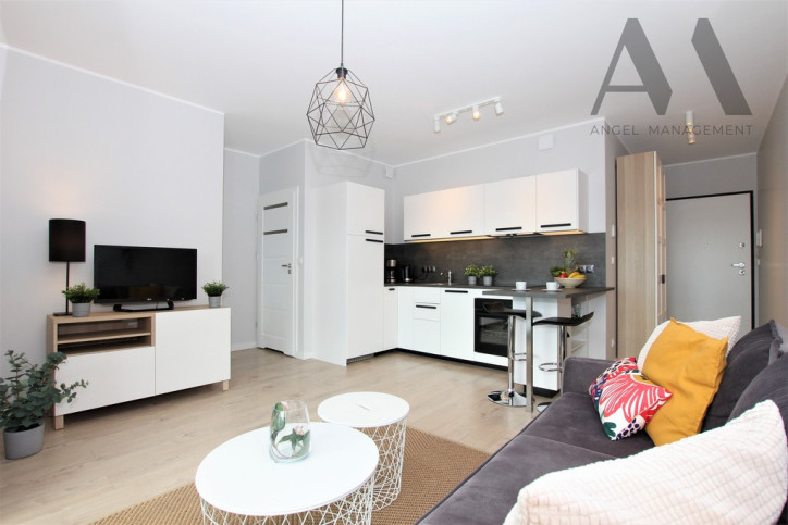 Apartment Rent Wrocław Walońska 1