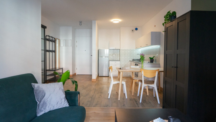 Apartment Rent Wrocław Walońska 4