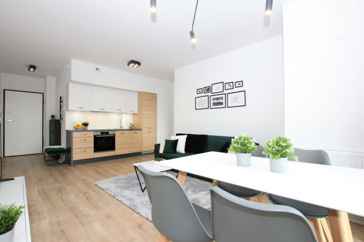 Apartment Rent Wrocław Walońska 8