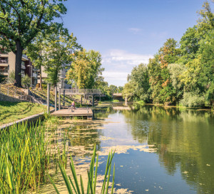 Mieszkanie Sprzedaż Wrocław Walońska