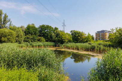 Mieszkanie Sprzedaż Kraków Kraków-Podgórze Kobierzyńska