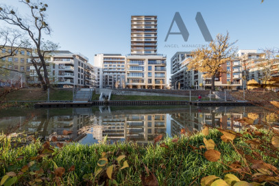 Mieszkanie Wynajem Wrocław Walońska