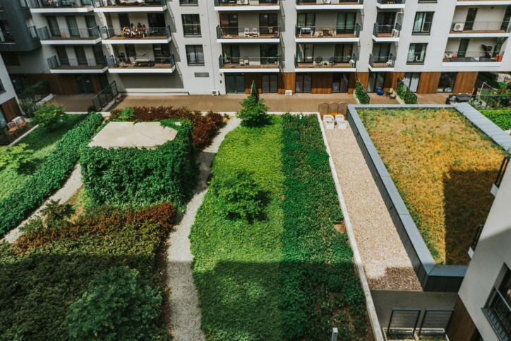 Apartment Rent Wrocław Walońska 5